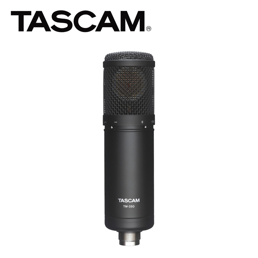 TASCAM(타스캄) TM-280 콘덴서마이크/레코딩마이크/수음용마이크 [팬텀전원사용]